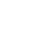Mein Einkaufswagen